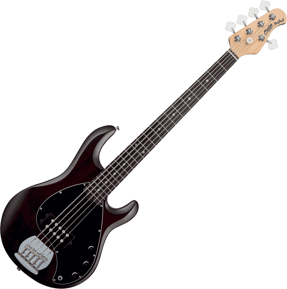 Stingray5 In Walnut Satin 5-String