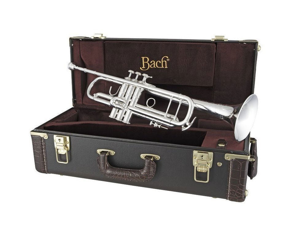 190S43 Stradivarius - B Versilbert