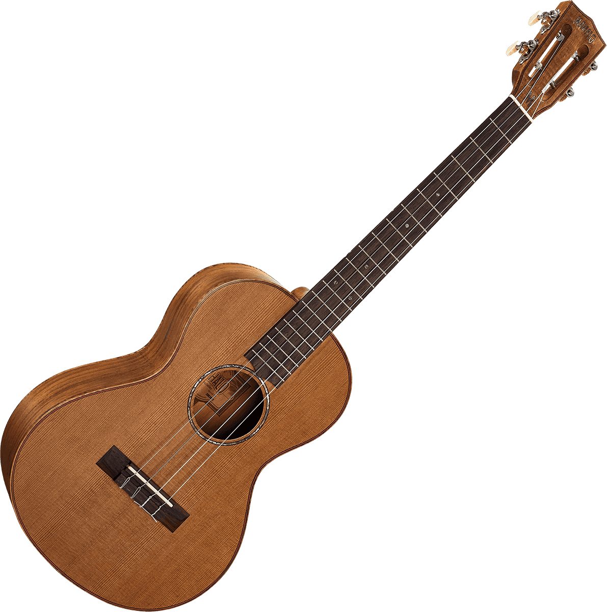 Naturbelassener Elektro-Bariton + Tasche