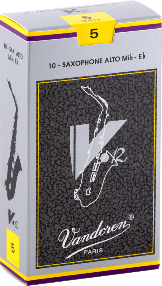 V12 5 - SR615