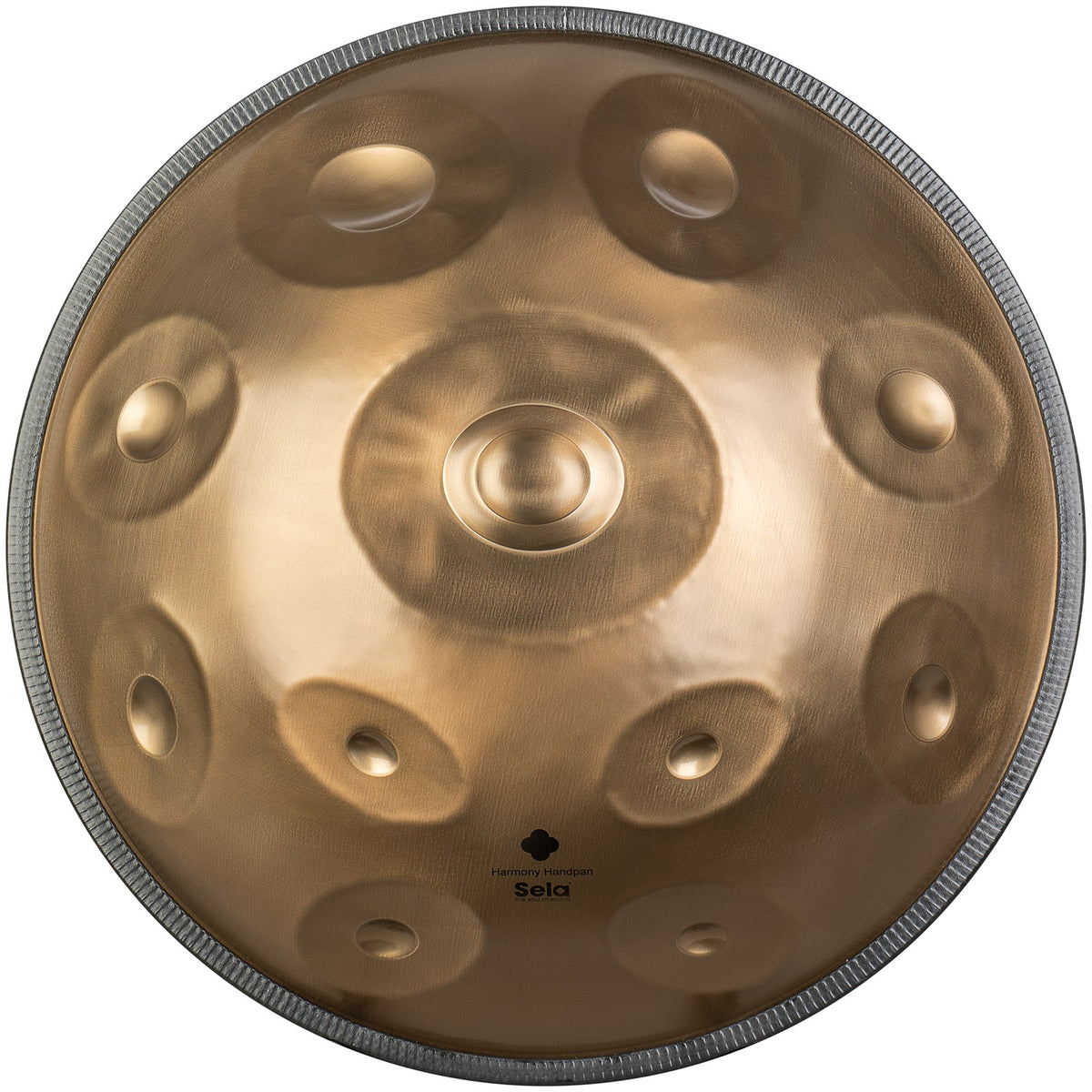 Harmony Handpan D Kurd 11+2 - Stainless Steel