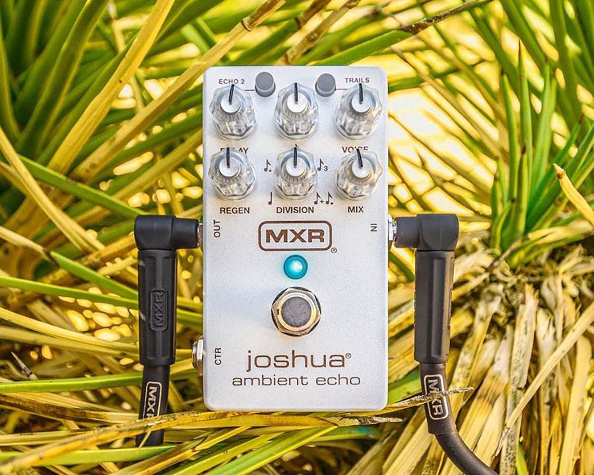 M309 Joshua Ambient-Echo