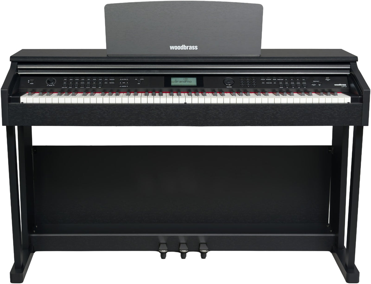 DP3 Schwarz