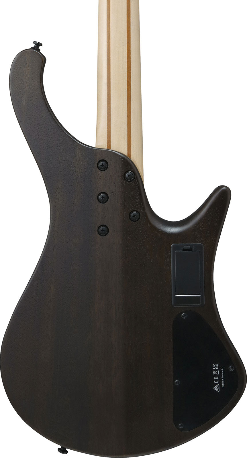 EHB6L Bass Workshop LTD Edition Linkshänder Walnuss Matt