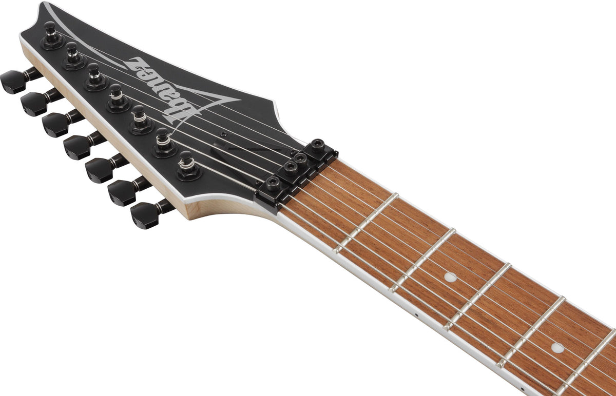 RG7420EX-BKF Schwarz Matt