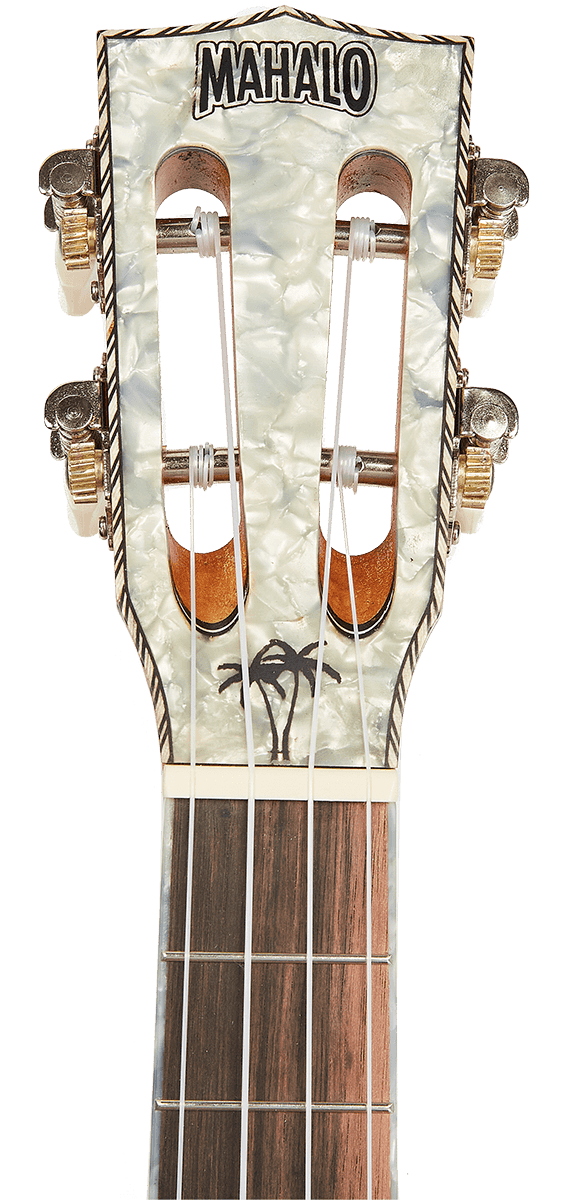 Tenor Elektro Natur Perlenkopf + Hülle