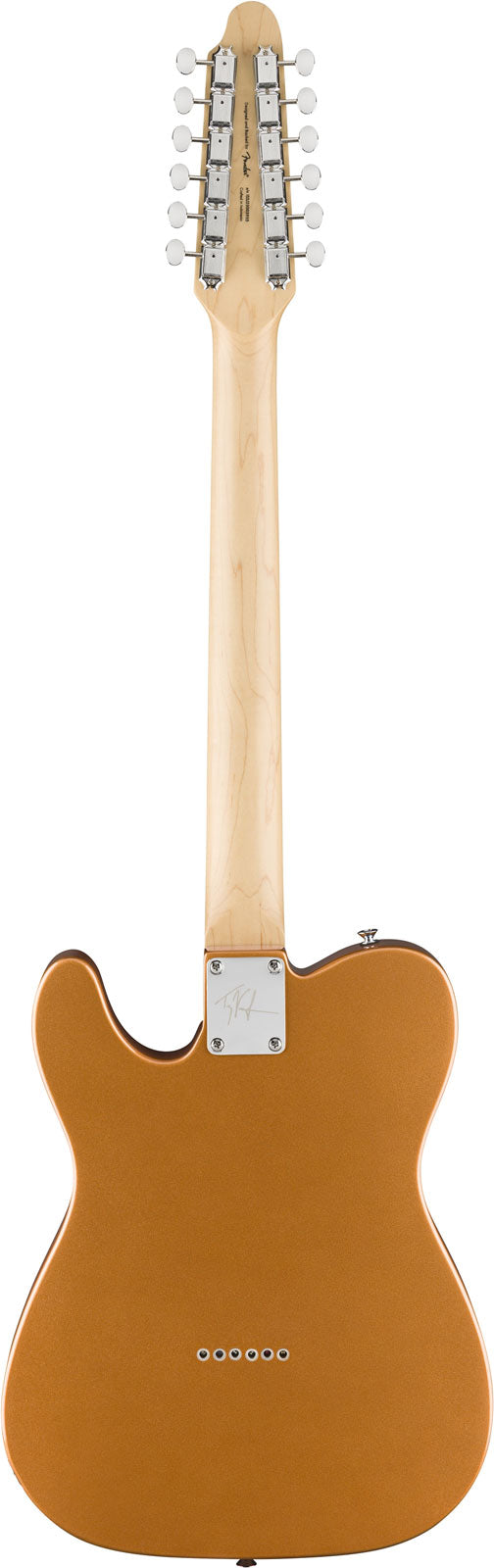 Telecaster Paranormal Troy Van Leeuwen XII, LRL Kupfer