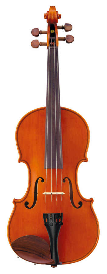 4/4 VIOLIN SET V5SC44