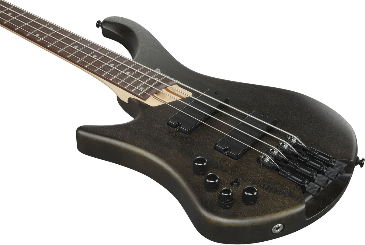 EHB6L Bass Workshop LTD Edition Linkshänder Walnuss Matt