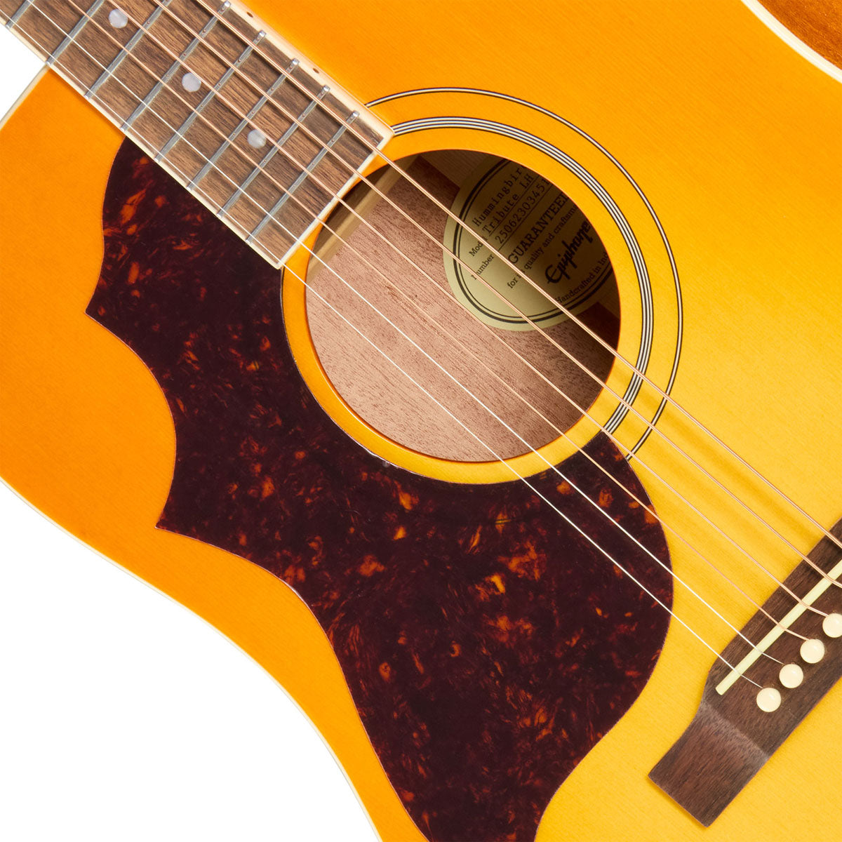 Hummingbird Tribute Heritage-Kirsch-Sunburst IBGM