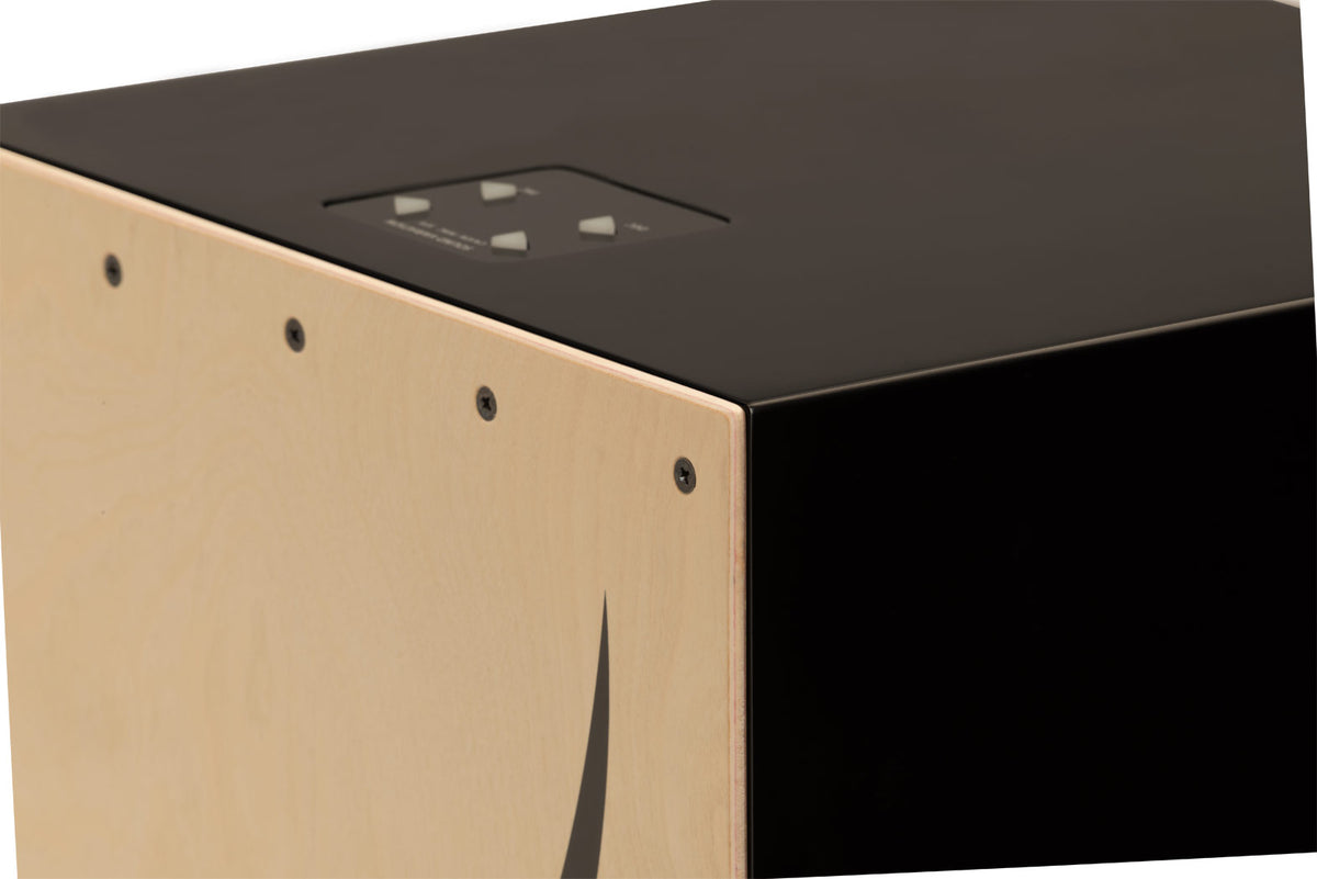 EC-10 ELECTRO ACOUSTIC CAJON