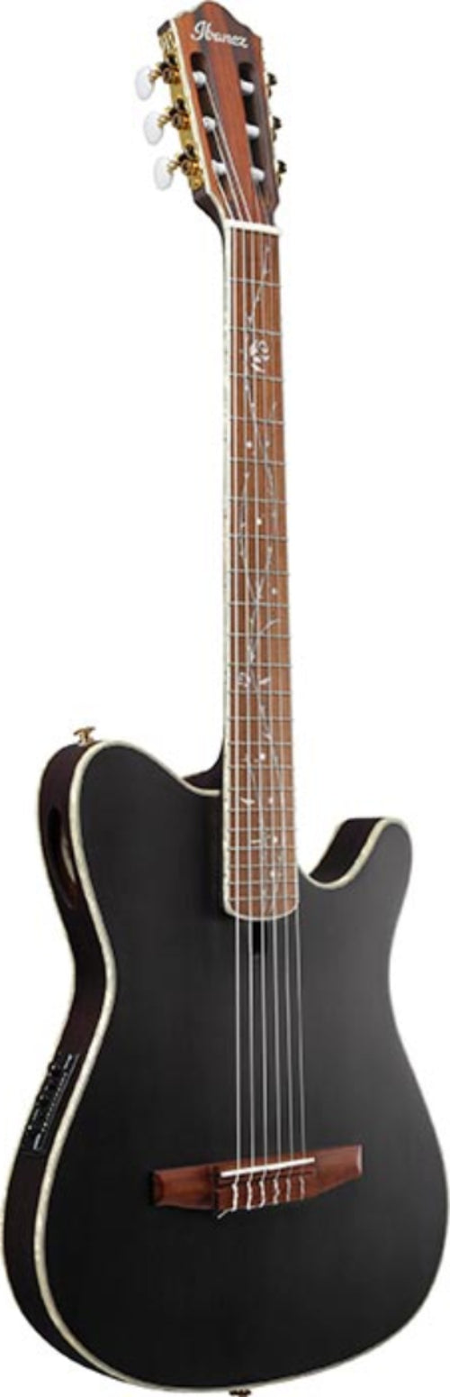 Ibanez Akustikgitarren