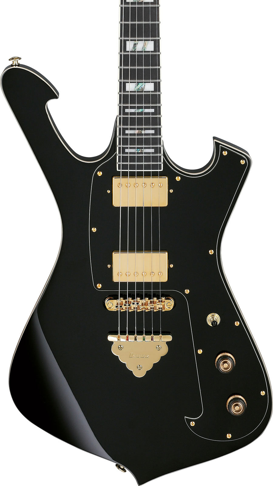 FRM350 Signature Paul Gilbert Schwarz