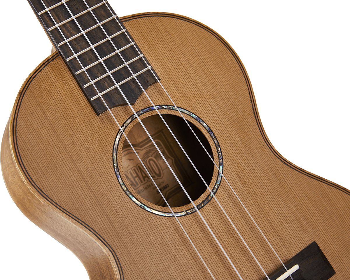 Naturbelassener Elektro-Tenor + Tasche