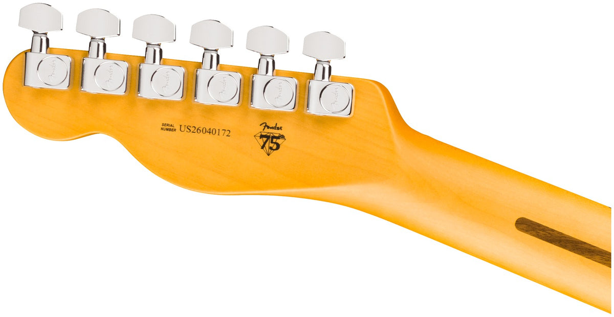 Telecaster American Professional, MN Natur