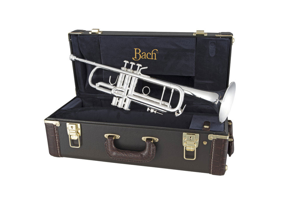 180S-37 Stradivarius - B Versilbert