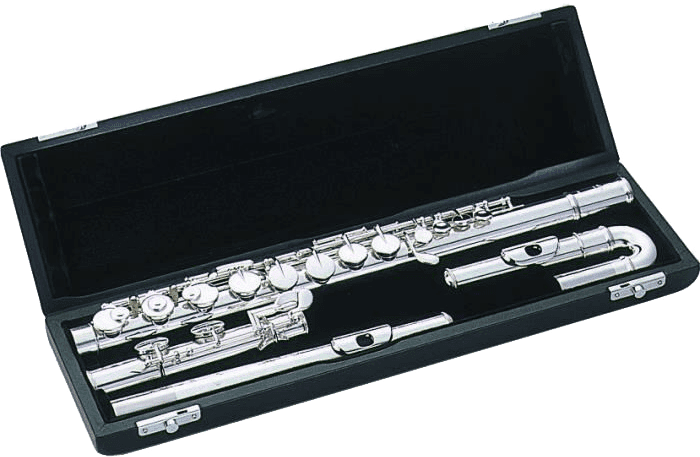 TFCAU ETUI - ALTO FLUTE + 2 TETES