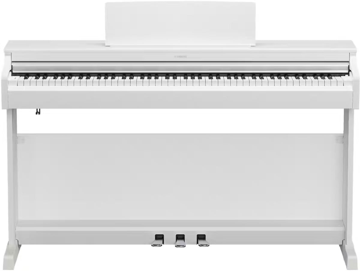 YDP-166 White