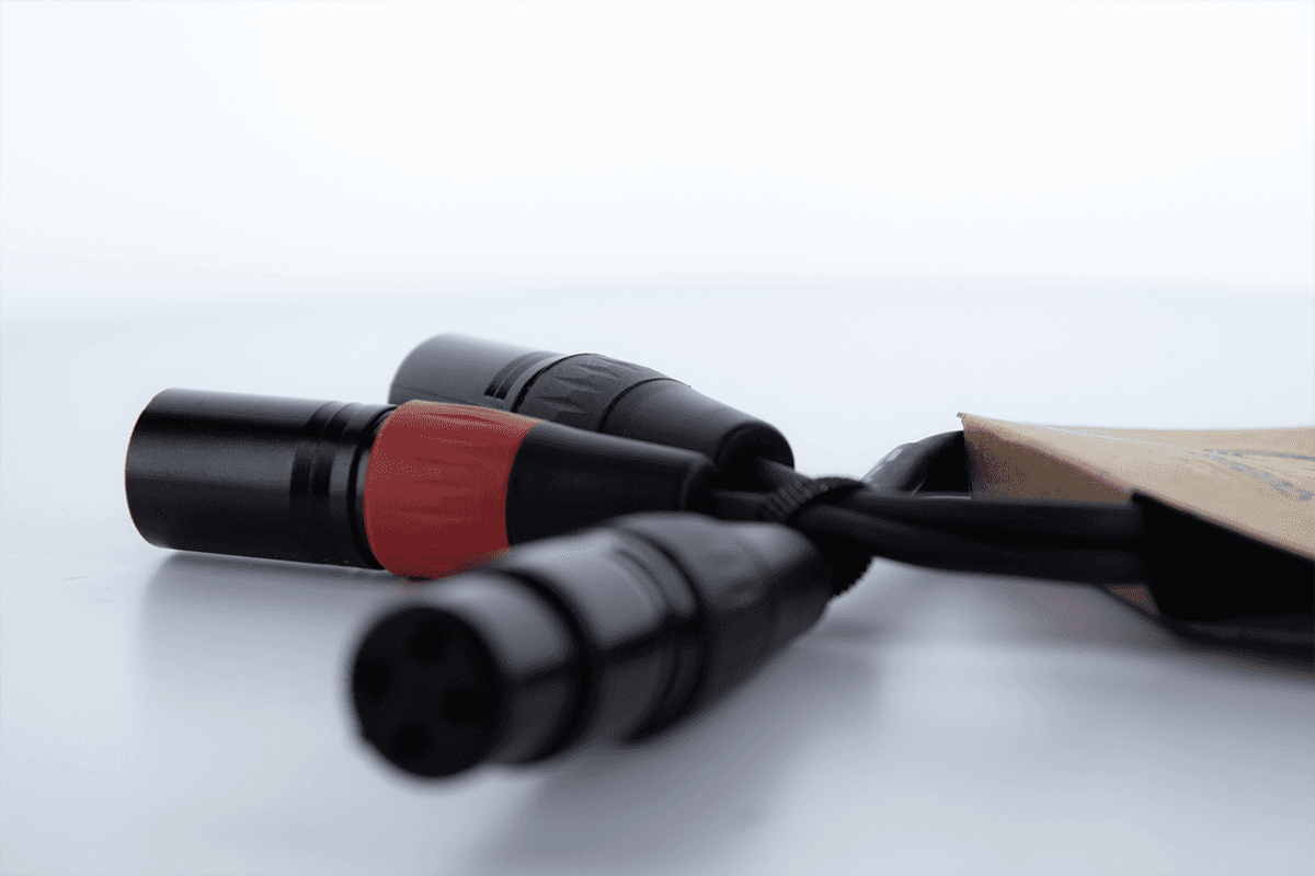 Y-Kabel XLR-Buchse / 2 XLR-Stecker 30 CM