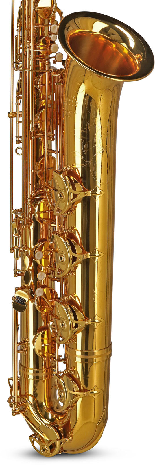 Ambition BS650 Es Lackiert