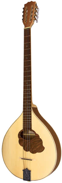Irischer Bouzouki Pro Natura Silver - Generalüberholt