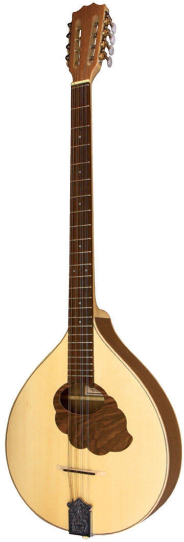 Irischer Bouzouki Pro Natura Silver - Generalüberholt
