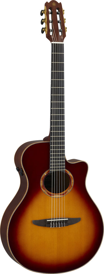 Ntx3 Braun Sunburst