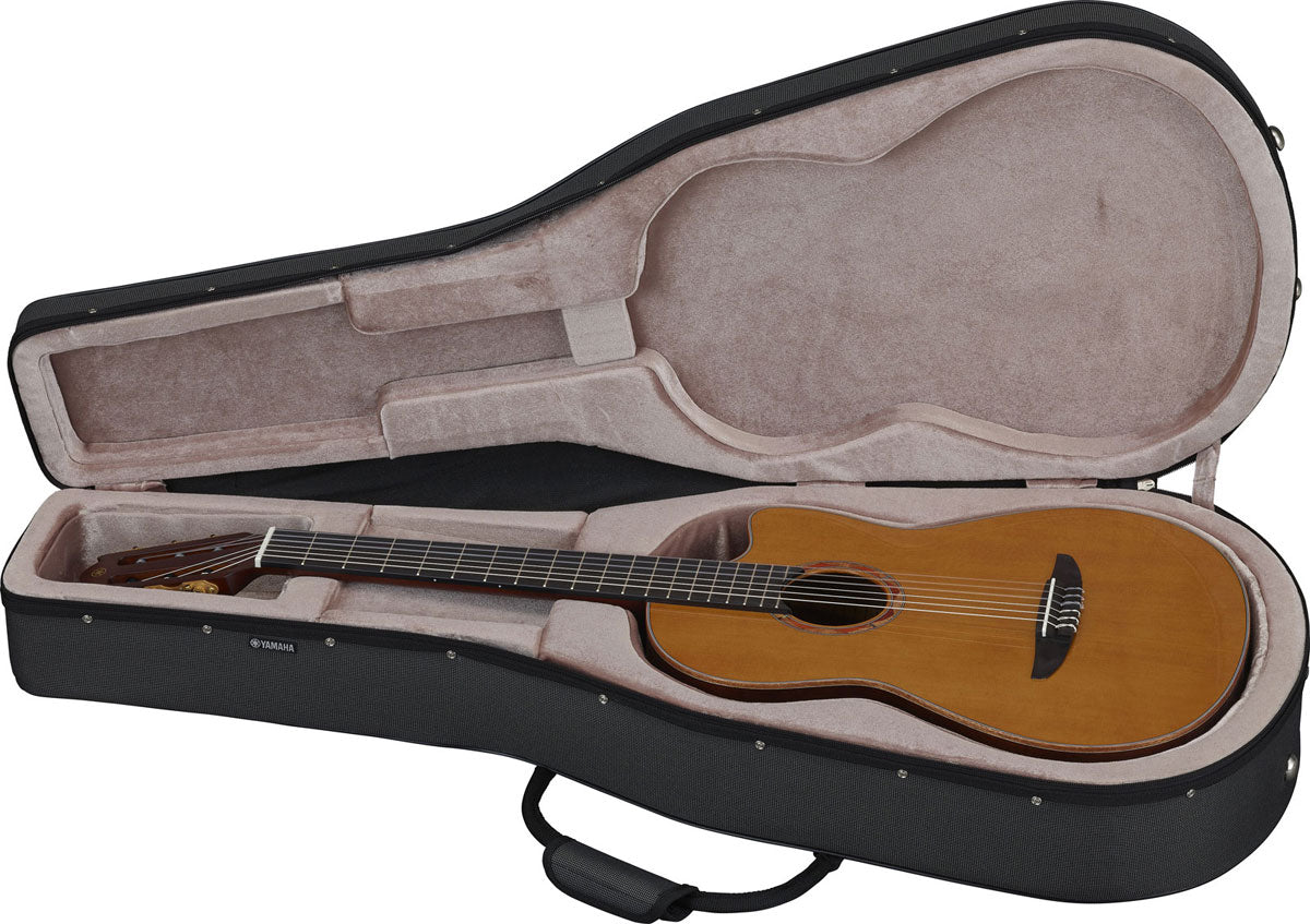 Ntx3 Braun Sunburst