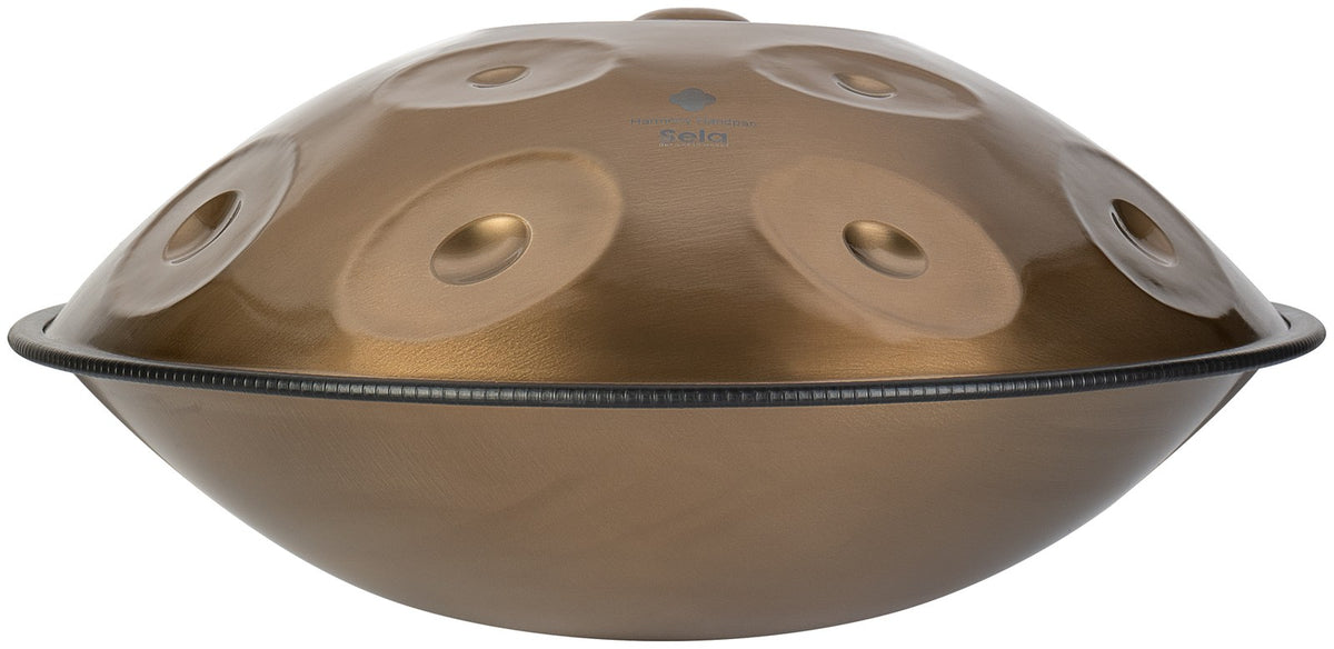 Harmony Handpan D Kurd 11+2 - Stainless Steel