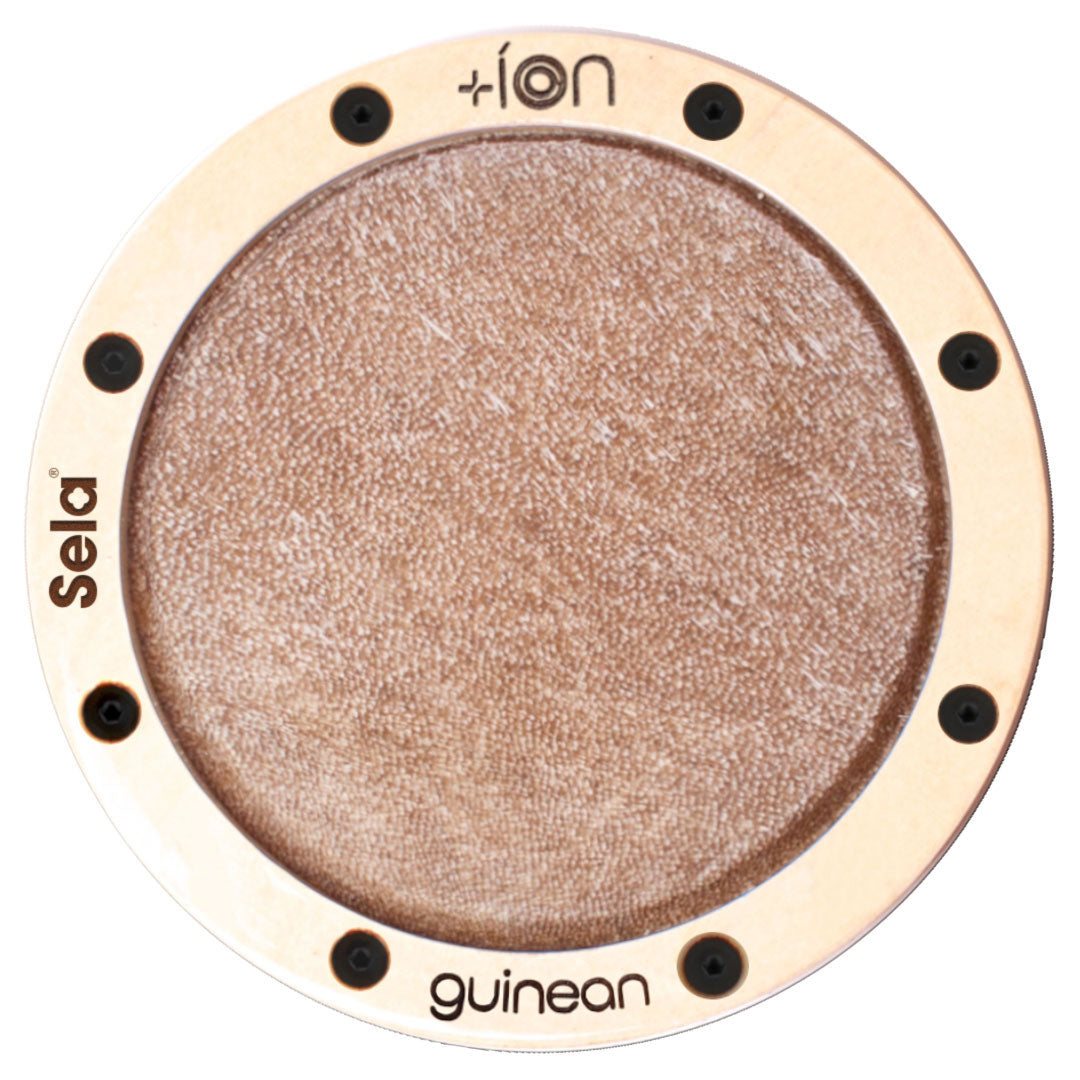 Ion for Iconic Cajon - Guineisch