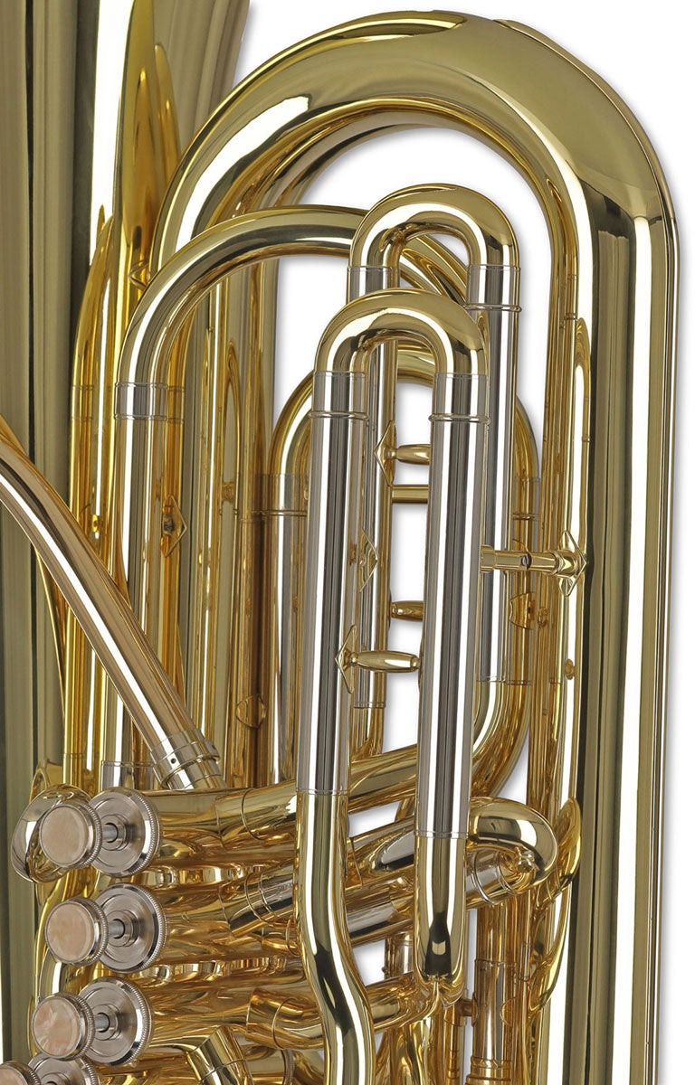 Ambition BB501C Contrebasse Ut Verni