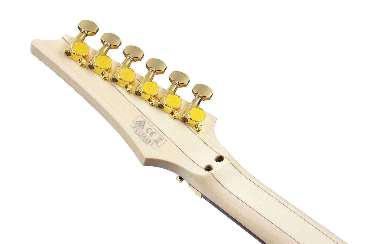 PIA3761-XB Onyx Black Signatur Steve Vai Pia