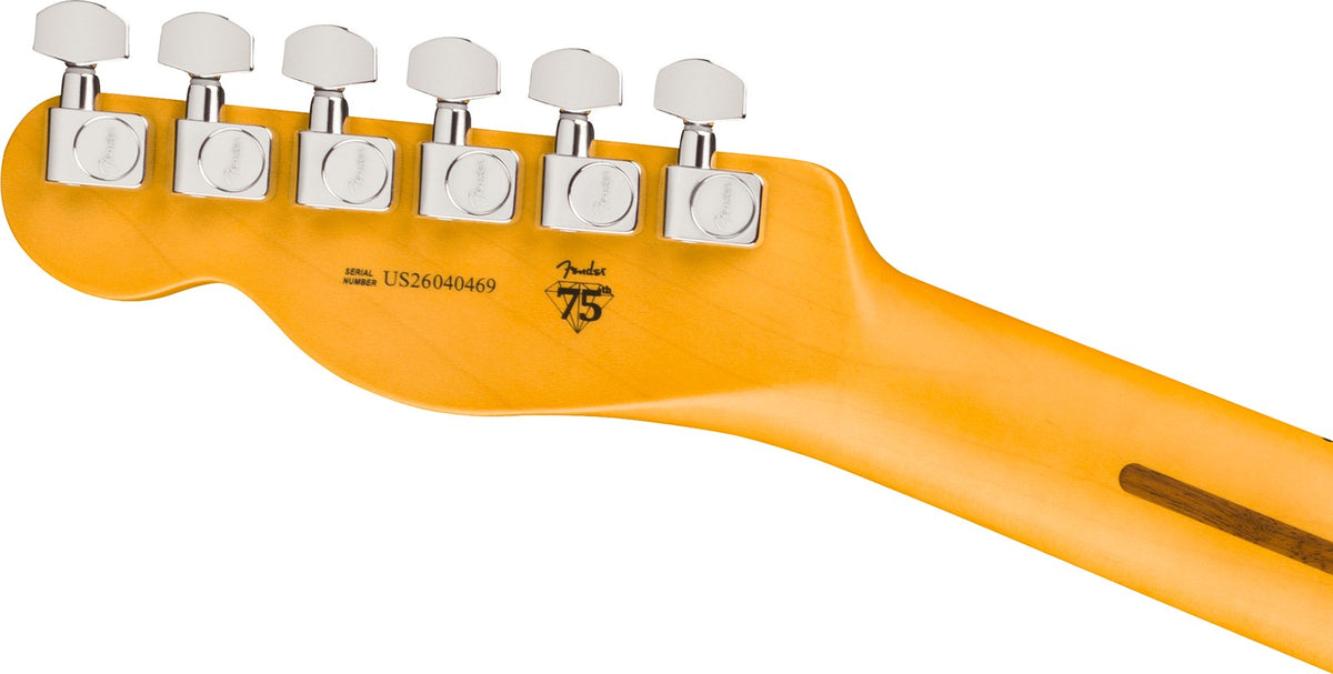 Telecaster American Professional, MN Gealterter Kirsch-Sunburst