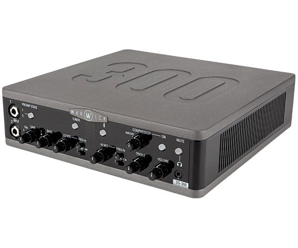 DS 300 - Doppelstufe 300W
