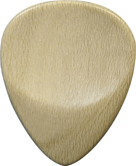Plektrum Stechpalme
