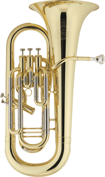 JEP1020