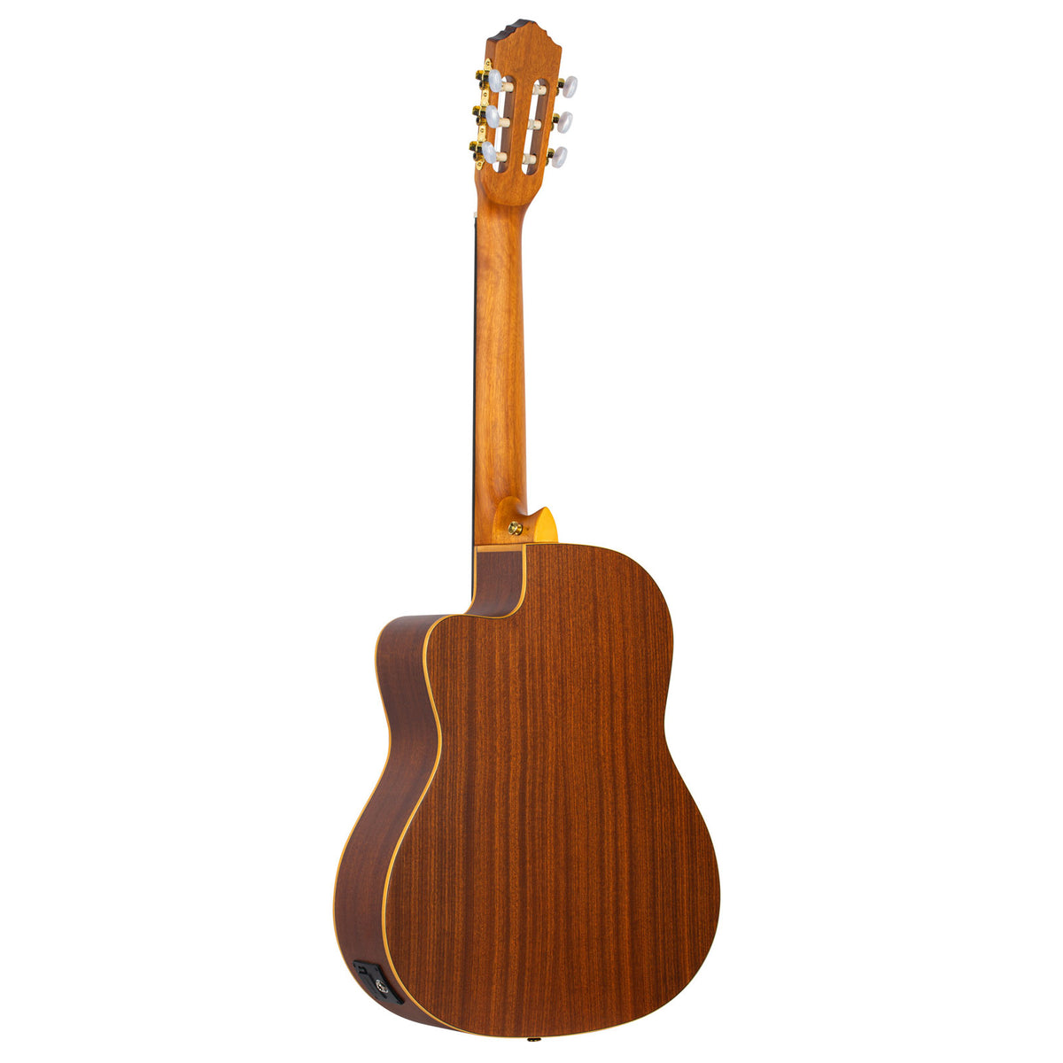 Rce131 Massive Zeder Natur