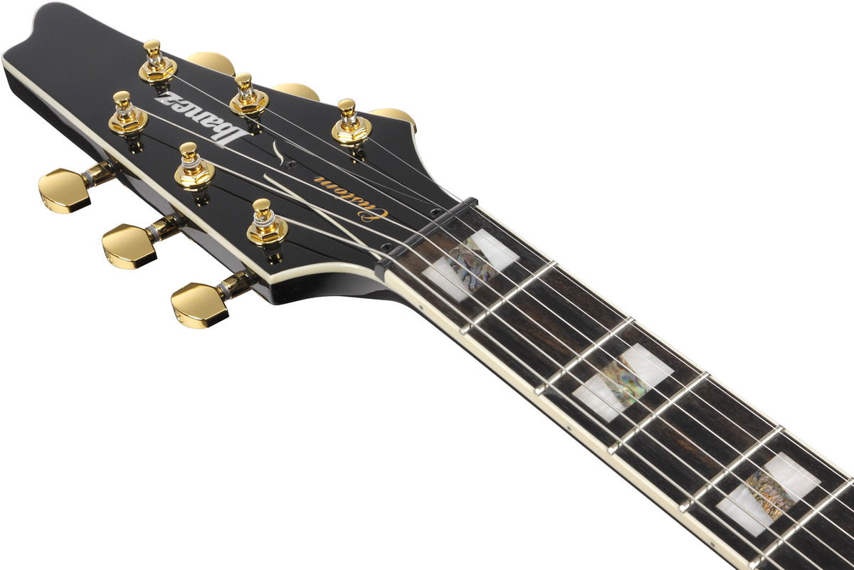 FRM350 Signature Paul Gilbert Schwarz