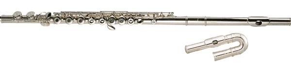 B505R Quantz - 2 Brezza-Köpfe + C-Fuß (Hohl- und Inline-Mechanik)