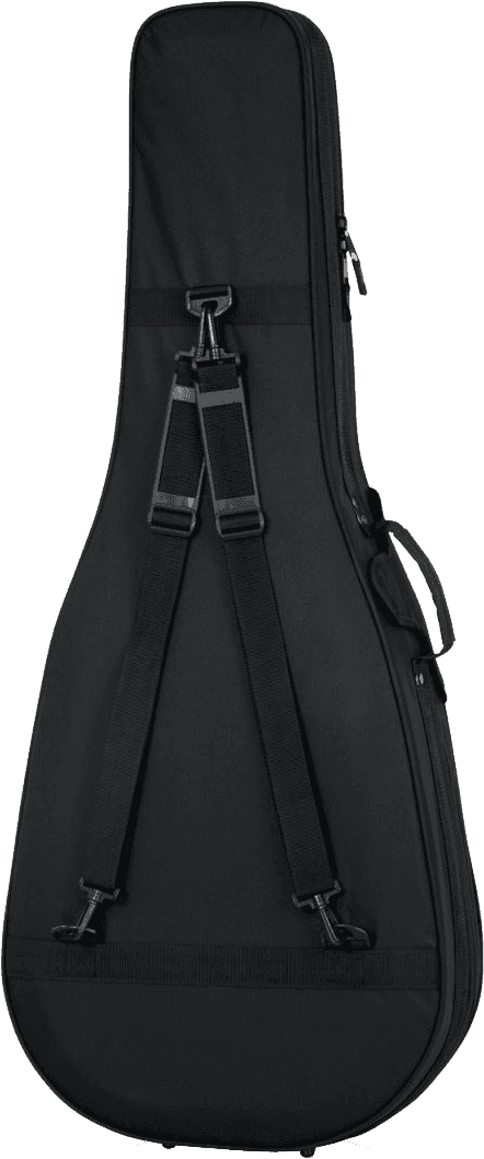 Dreadnought 12-String Softcase - GL