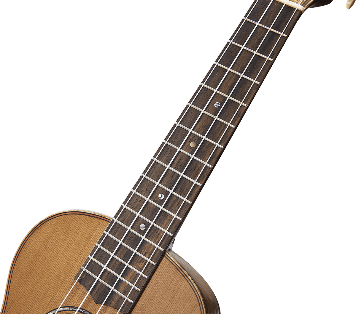 Concert Natur Elektro + Tasche