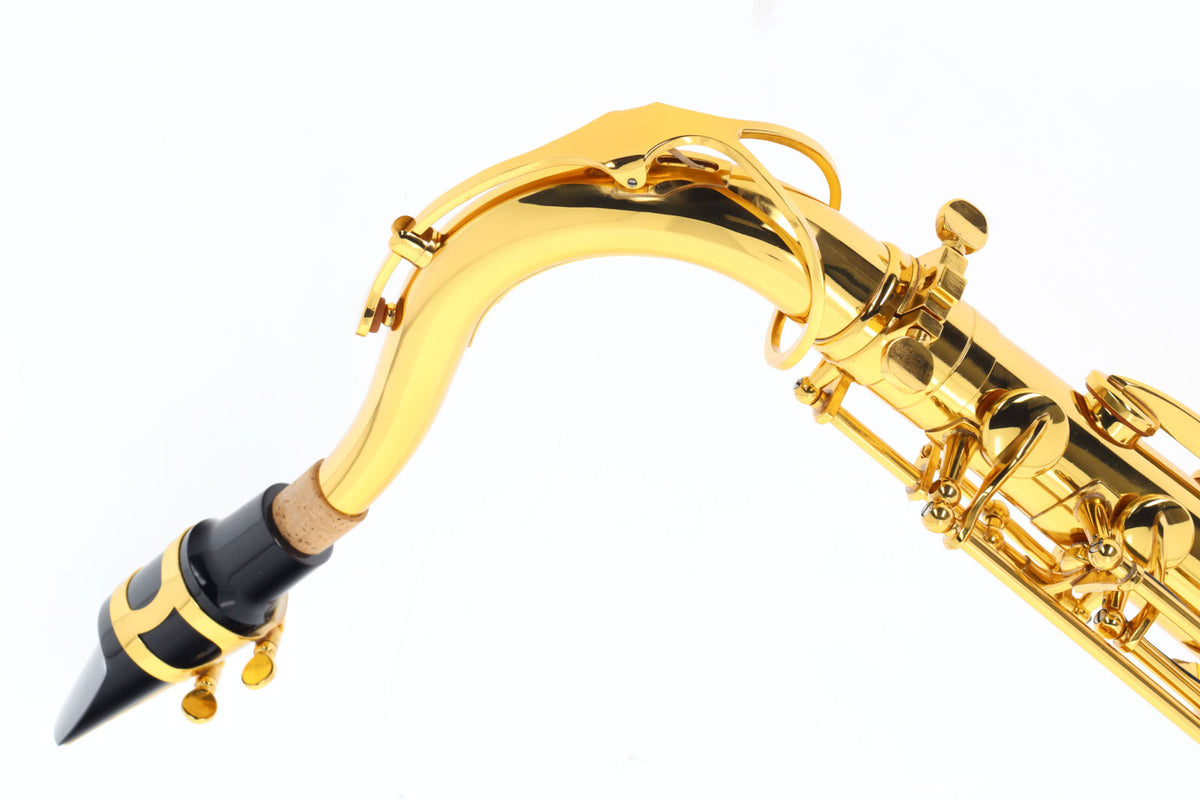 WST300 - Tenor B Lackiert
