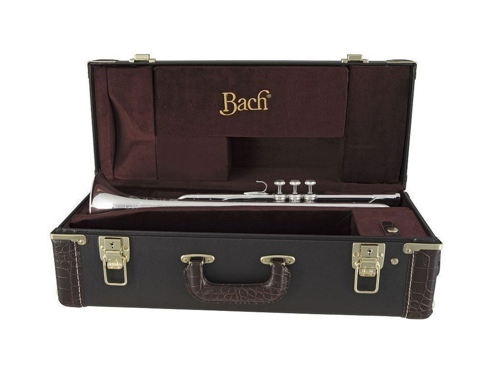 190S43 Stradivarius - B Versilbert