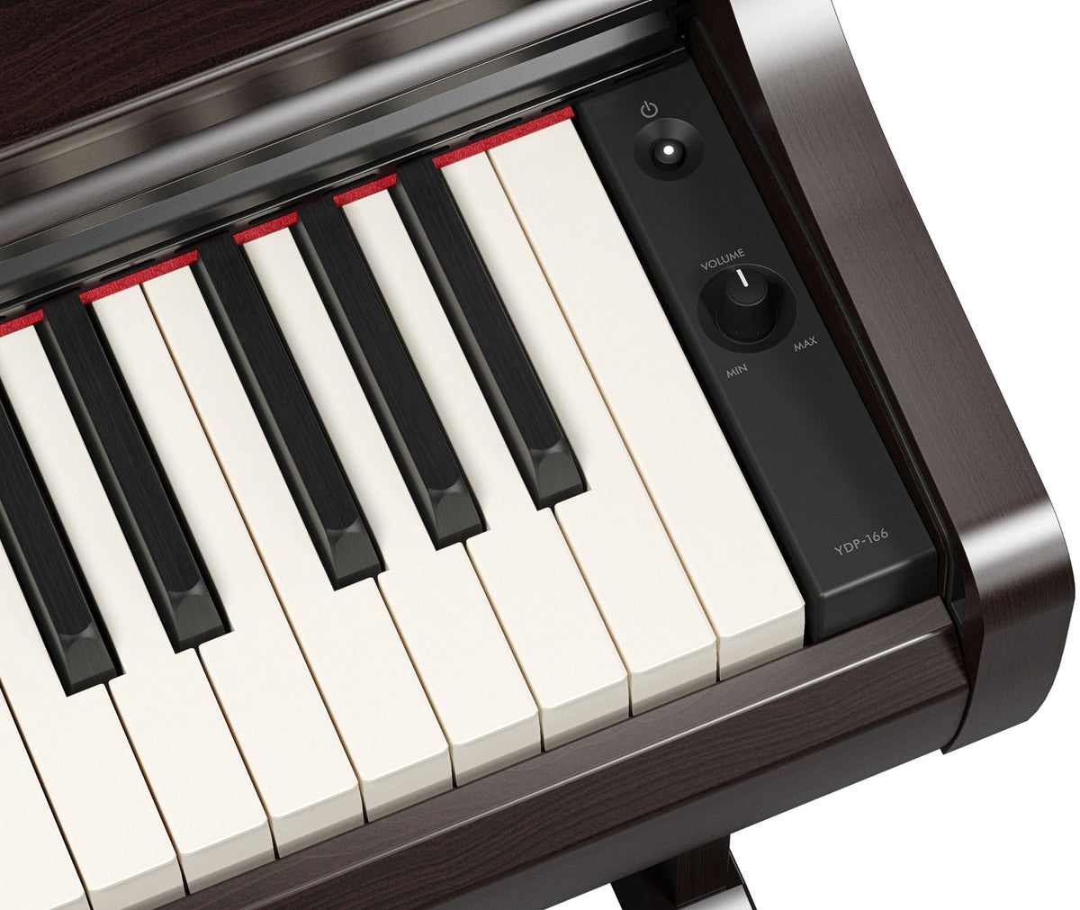YDP-166 Rosewood
