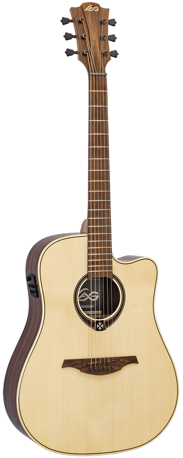 Tramontane 218 Dreadnought Elektro Cutaway