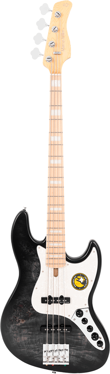 Er V7 Swamp Ash Reissue-4 Tbk.S Trans Black