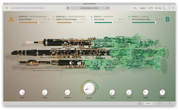 Augmented WOODWINDS