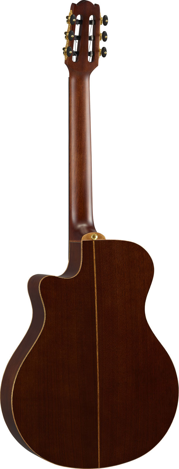 Ntx3 Braun Sunburst