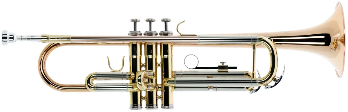 Woodbrass WTP400 - Si b Lackiert (Pavillon Rosa Kupfer)