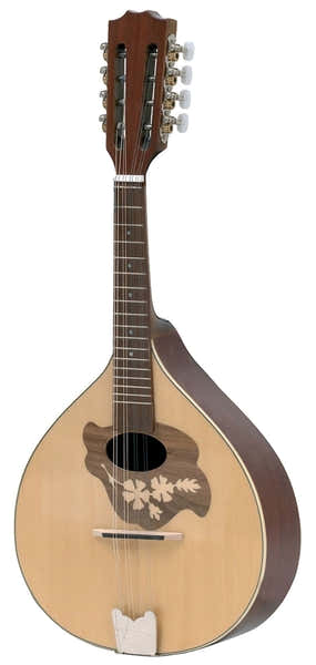 Gewa Flachmandoline Pro Arte Model 2 Hochglanz